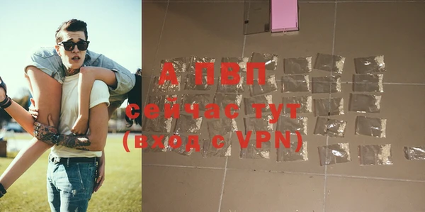 прущие грибы Белокуриха