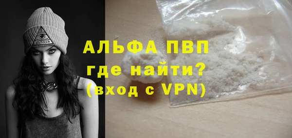 прущие грибы Белокуриха