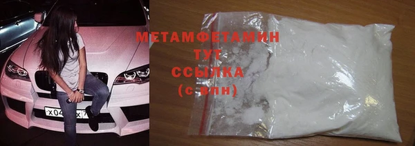 прущие грибы Белокуриха