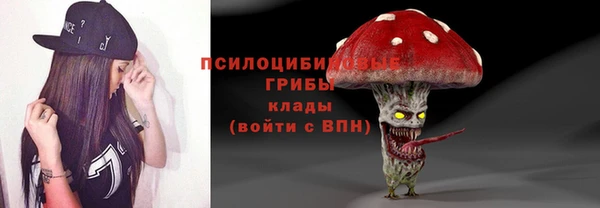 прущие грибы Белокуриха