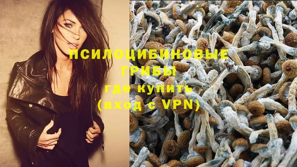 прущие грибы Белокуриха