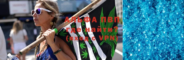 прущие грибы Белокуриха
