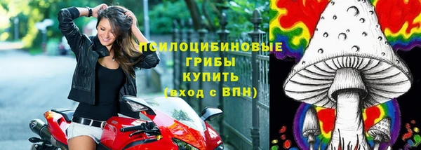 твердый Богородск