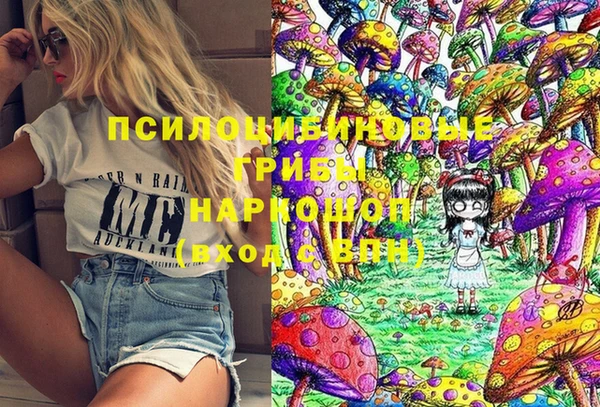 прущие грибы Белокуриха