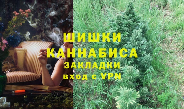 прущие грибы Белокуриха