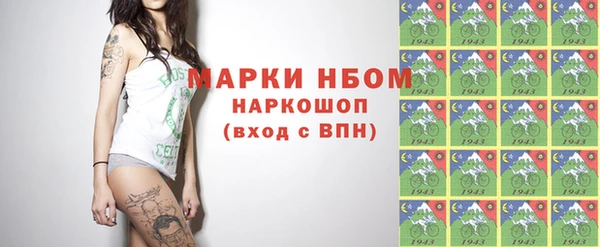 прущие грибы Белокуриха